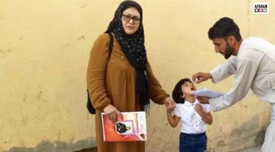 غزني کې کور په کور نجونې خلکو ته د واکسین ګټې بیانوي