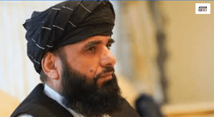 سهیل شاهین:د امریکا بریدونه د سولې توافق خلاف کار دۍ