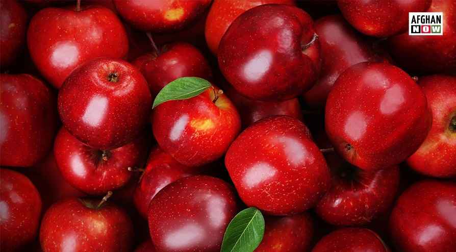 د وردګو مڼې سږ کال ښه حاصلات لري