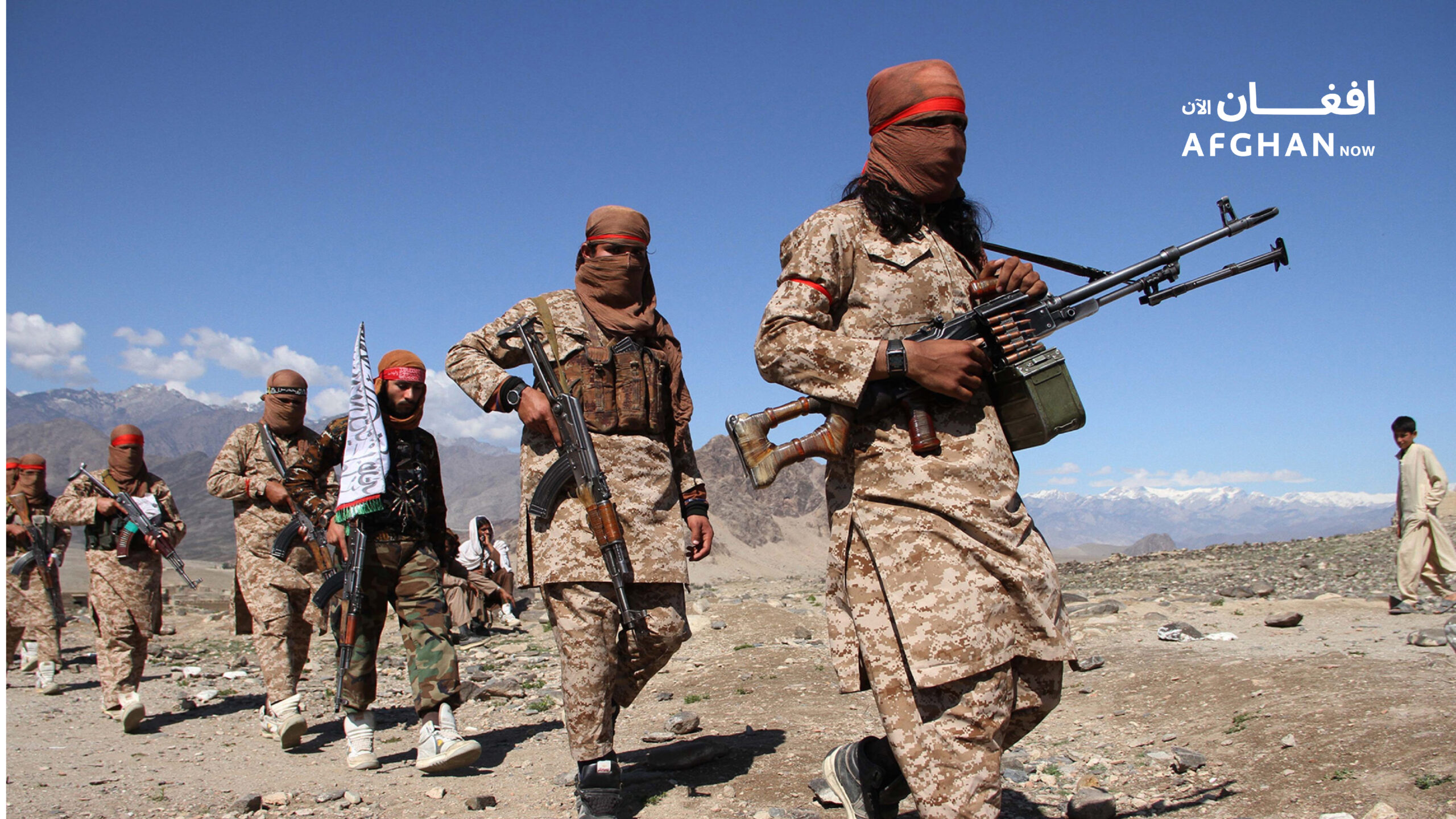 د ملګرو ملتونو غوښتنه