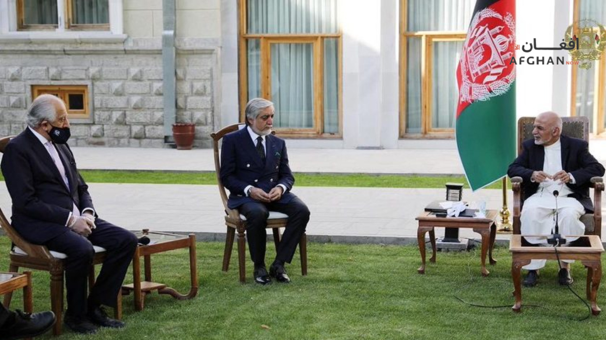 نوی راپور