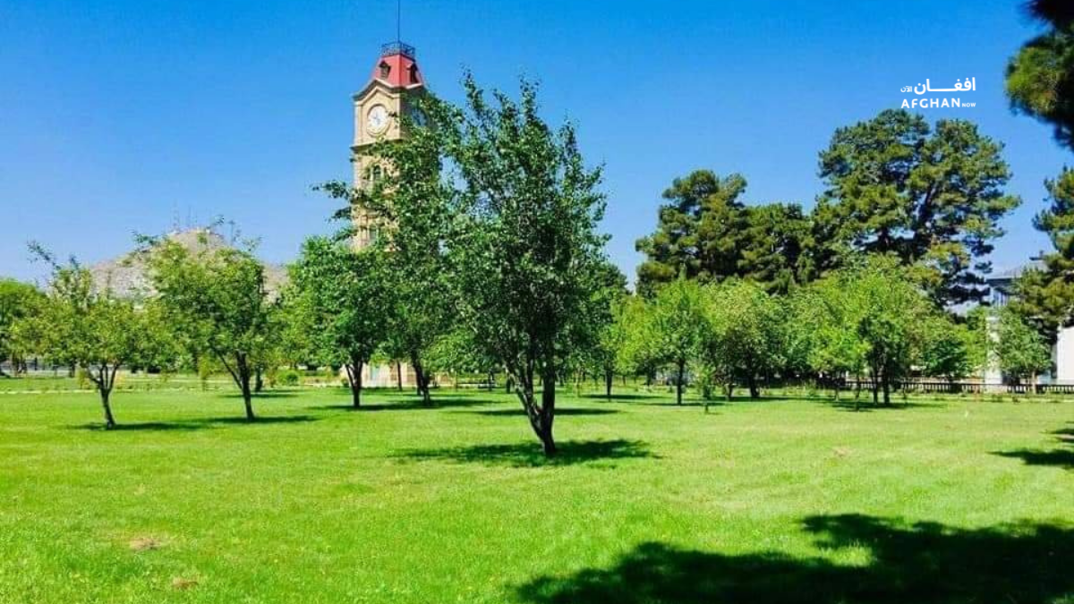 ارګ مانړی بیان