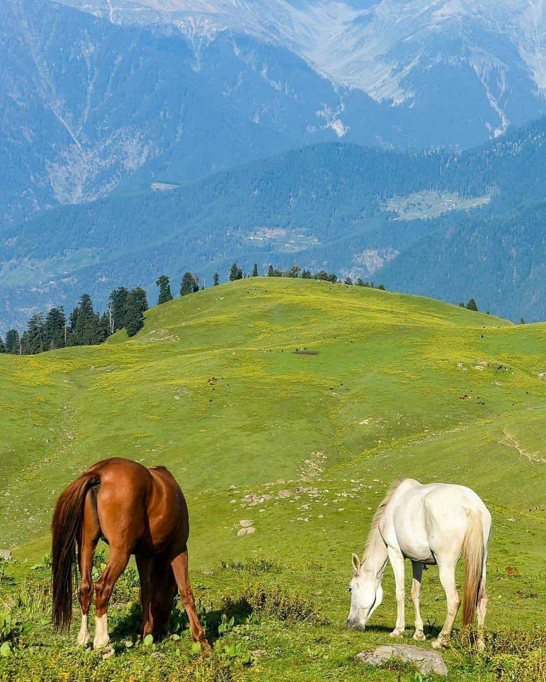 اوس د خیبر قبایلی ضلعی د چکر ځایونو ته اسانه ورتلاۍ شی