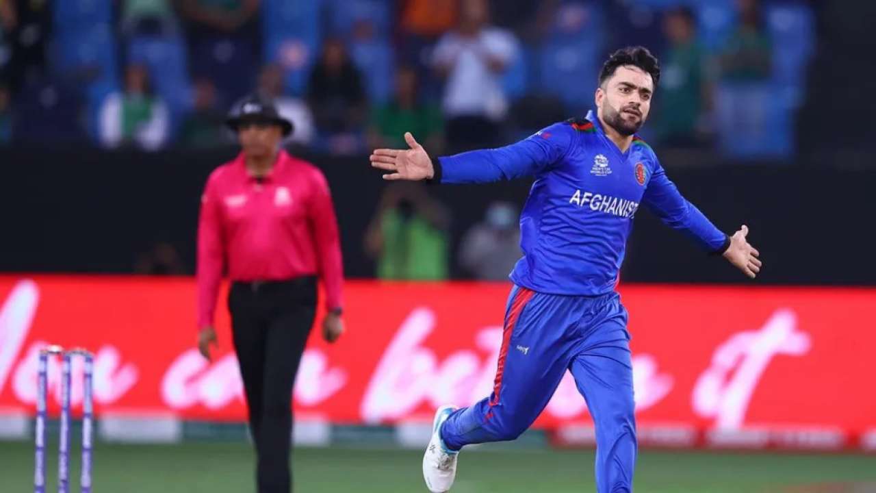 1003789 rashid khan