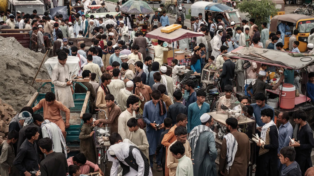 د سولګرو په اړه د امیرالمومنین تازه فرمان