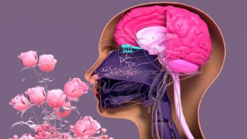 design cells shutterstock 1919928332