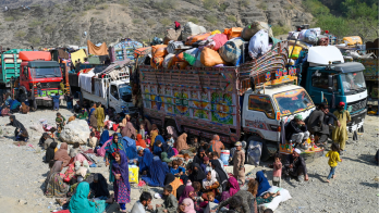 afghan immigrants
