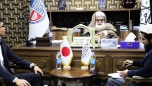 japan and norway1