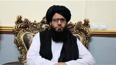 taliban gov