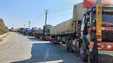 afghan export