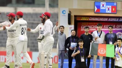 cricket۱