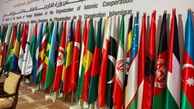 organization of islamic