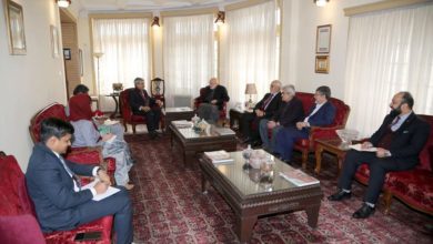 karzai