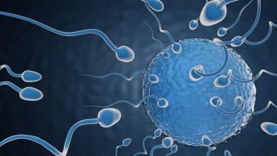 sperm (1)