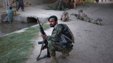 afghan (3)