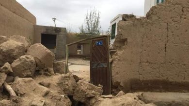 afghan