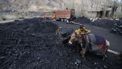 coal (1)