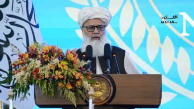afghan 2024 07 24t122115.791