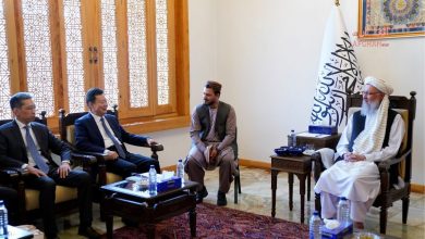 afghan 2024 07 26t100138.340