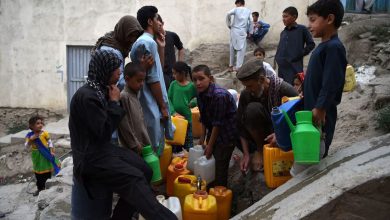 afghan 2024 11 19t123545.254