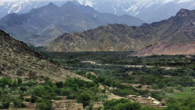 afghan 2025 03 26t014539.967