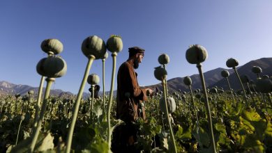 Afghan 2025 11 07T104915.777