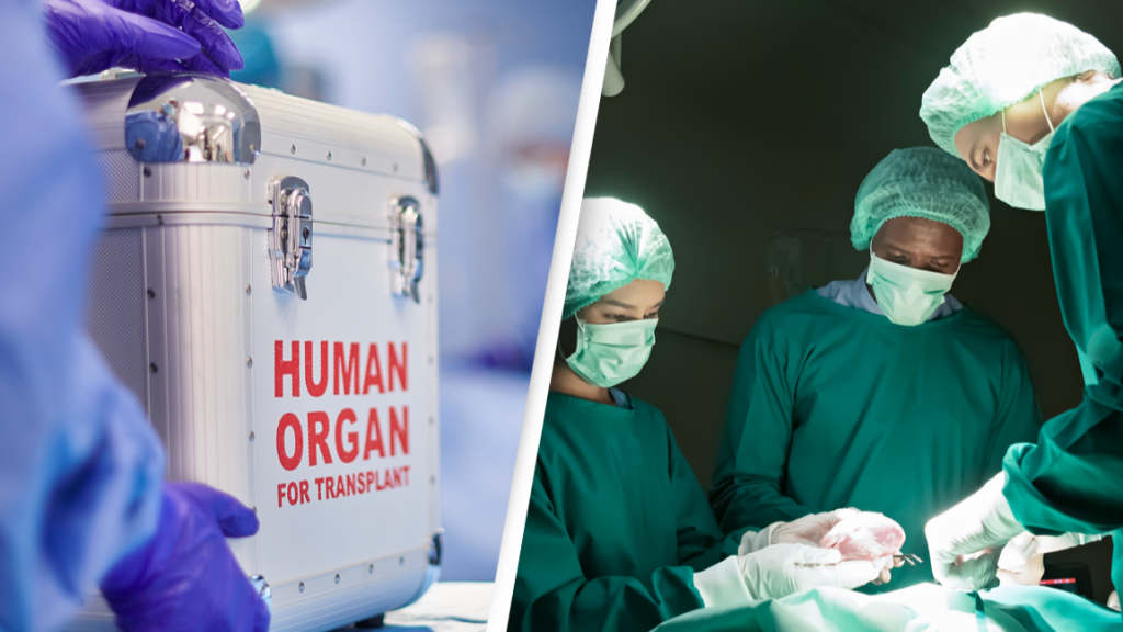 horrifying research claims transplant could inherit donors memories personalities