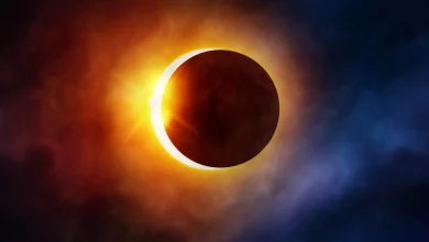 د لمر تندر نیول؛ نن به په دې سیمو کې ولیدل شي