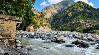 نورستان کې تازه نښته؛ طالبان او ازادۍ جبهه د جګړې په اړه بېلابېلې ادعاوې کوي