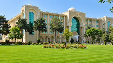 د کامدېش عملیات؛ ۴۱ وسلهوال وژل شوي