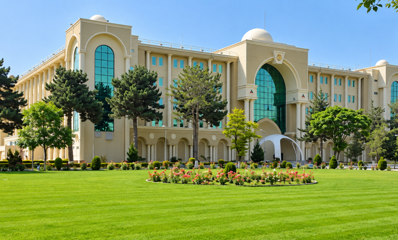 د کامدېش عملیات؛ ۴۱ وسلهوال وژل شوي