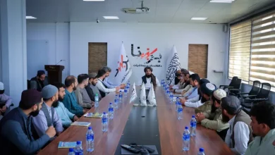 عبدالحق همکار: د افغانستان برښنا سکتور لا ډېر کار او ملاتړ غواړي