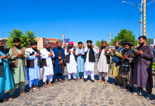 هرات کې نوي پروژې؛ ښاروالۍ سږ کال ۸۰ پروژې بشپړوي