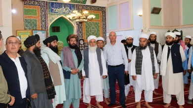 تاریخي ابدې؛ ازبکستاني پلاوي په فاریاب کې د فرهنګي میراثونو لیدنه وکړه