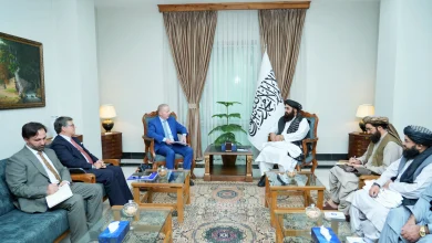افغانستان او اروپايي ټولنه؛ متقي او فریلیسن د همکاریو پر پراختیا خبرې وکړې