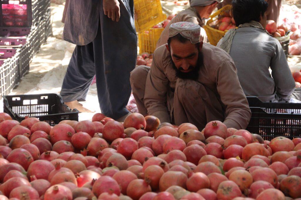 Pomegranate 2 1024x682 1