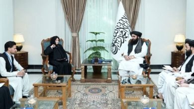 د امیرخان متقي او روزمیري ډیکارلو لیدنه؛ له دوحې پروسې تر پاکستاني بریدونو مهمې خبرې