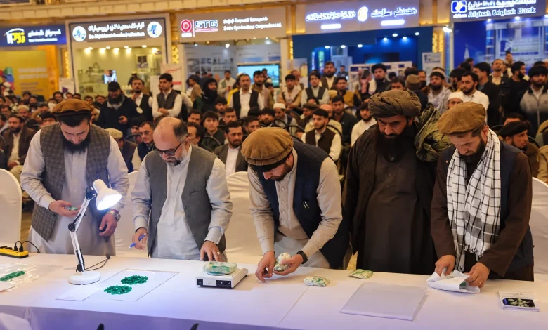 د پنجشیر زمرد؛ کابل کې د نږدې ۱۶ میلیونه افغانیو په ارزښت وپلورل شول