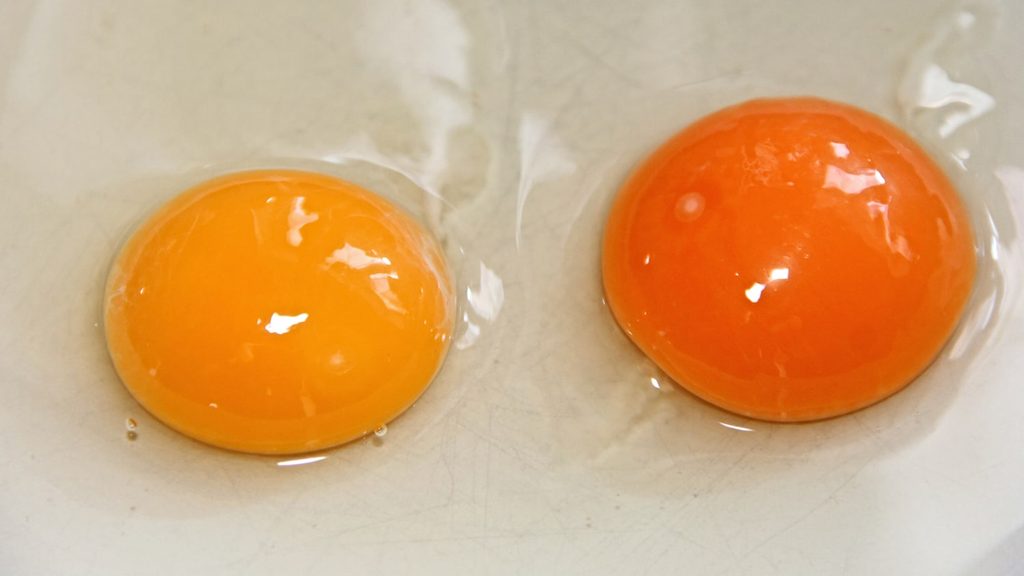 different color egg yolks today tease 180604 1