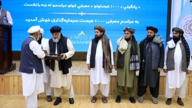 د پانګونې ۱۰۰۰ فرصتونه په افغانستان کې په ۱۰ سکټورونو کې معرفي شول