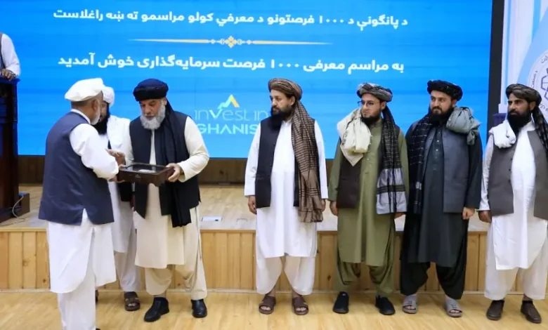د پانګونې ۱۰۰۰ فرصتونه په افغانستان کې په ۱۰ سکټورونو کې معرفي شول
