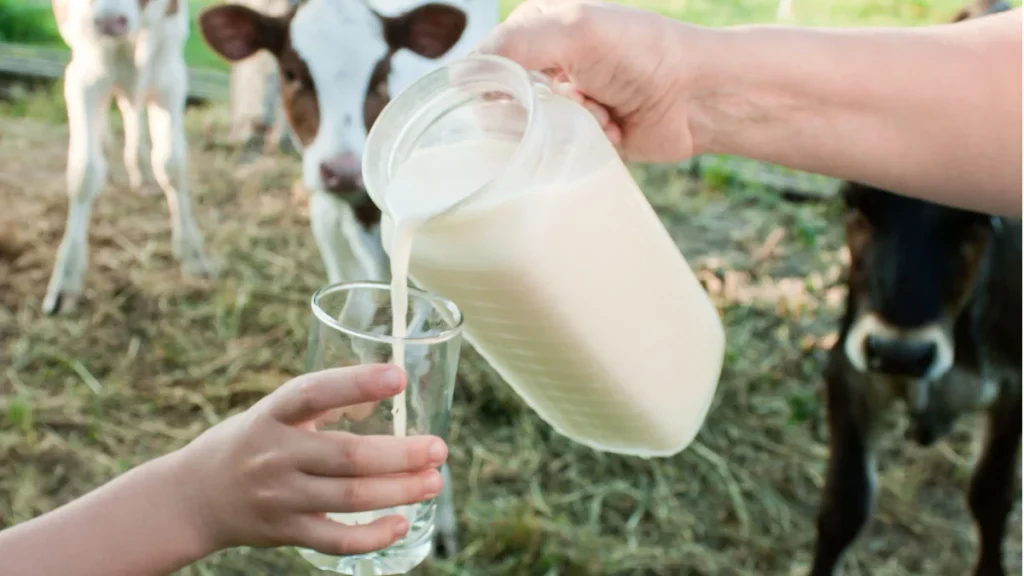 raw milk