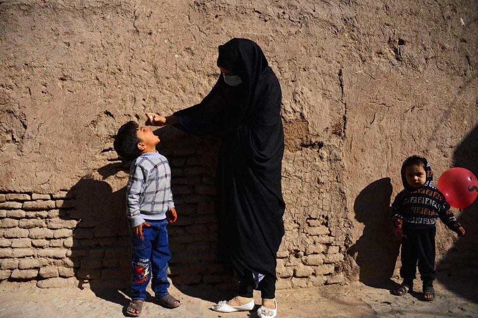 ټول افغانستان کی د ګوزڼ ضد واکسین پیلیږی