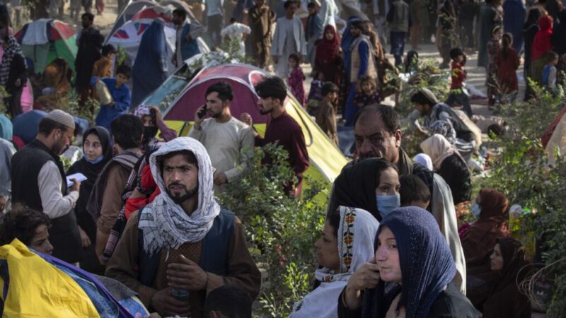 د افغان کډوالو نوې څپې پنځو کلونو کې اروپا ته د پناه غوښتنليکونه ريکارډ جوړ کړ