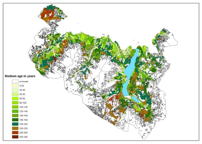 Medium age of the forest types in the core and main buffer zone The age of the forest