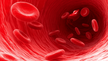 red blood cells