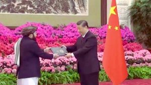 china1
