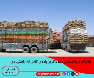 afghan trade (2)