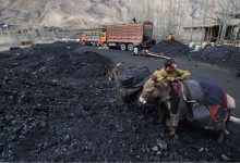 coal (1)