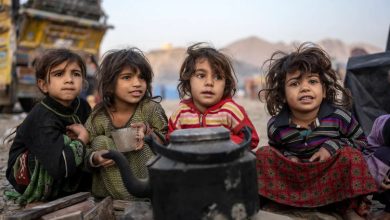 afghan 2025 05 05t081029.531